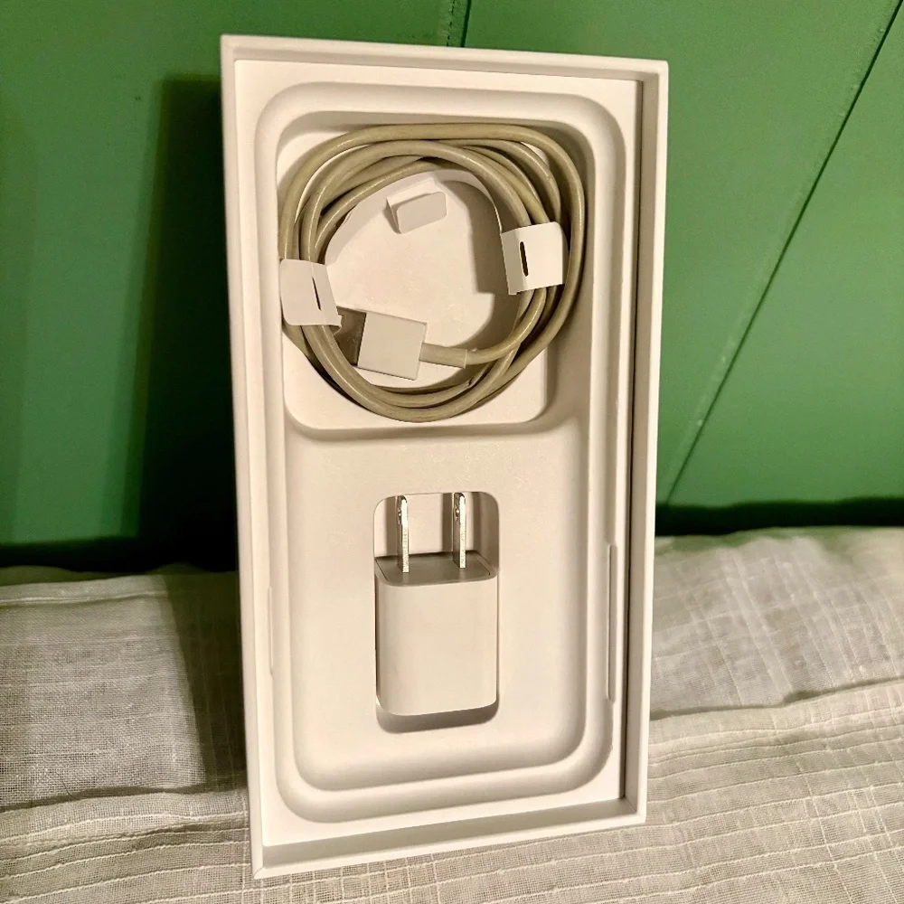 Original Empty Box Apple iPhone X Cell Mobile Smartphone Silver 256 GB OEM
